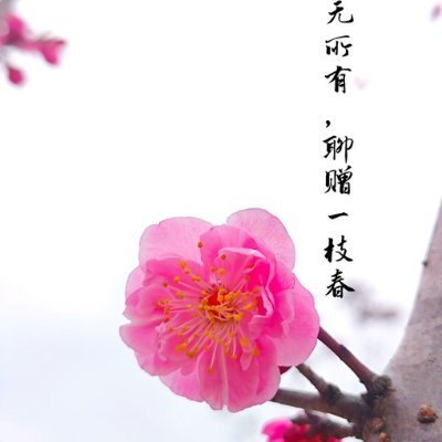 yatcb49's profile picture. "Running on coffee and questionable decisions."