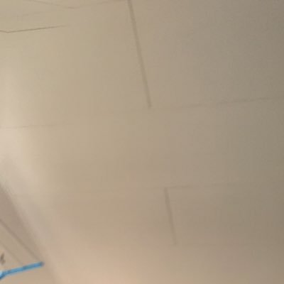 LLeyigui's profile picture. 