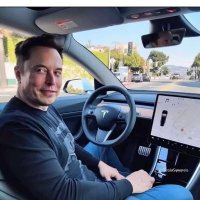 Evelin (@musk_revee799) 's Twitter Profile