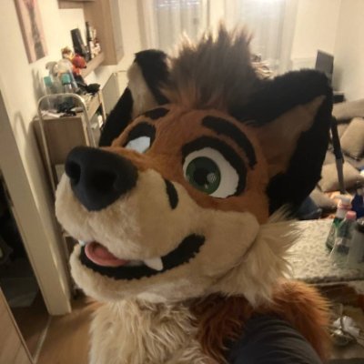 AdamTheFox1988's profile picture. Hi! I'm Adam the fox. Hungarian fursuiter. 37 y.o. Straight. Fan of the schwäbisch hall (fundamenta) fox character. Not responding to messages