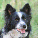 Pat Ryan - @hermit2 - Twitter