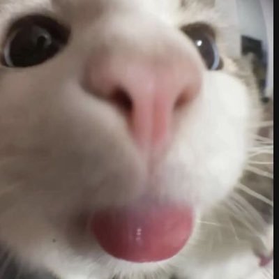 explosived99405's profile picture. bleh