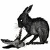 Ant|| 78.3||(SHEDTWT) (@roadkilxxfluffz) Twitter profile photo Ant|| 78.3||(SHEDTWT) (@roadkilxxfluffz) Twitter profile photo