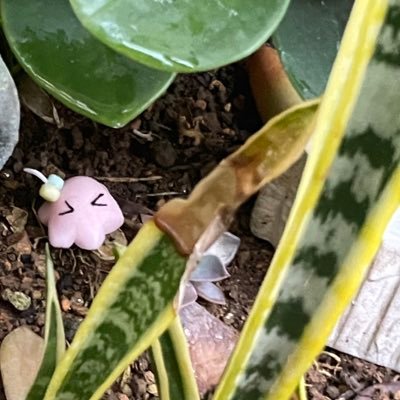 bptr_0132_'s profile picture. 趣味用@bptr_DKPT