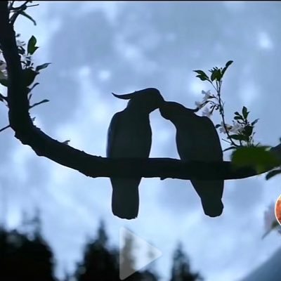 undefinedNsoul's profile picture. thanks ! keep me in your blessings