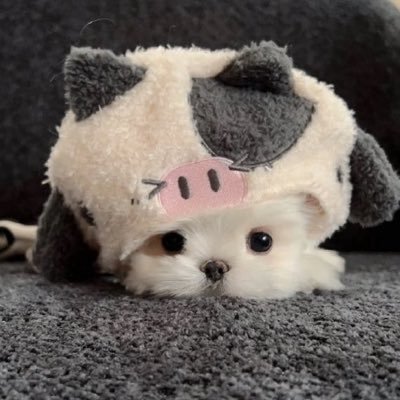 Taiyakii56's profile picture. 