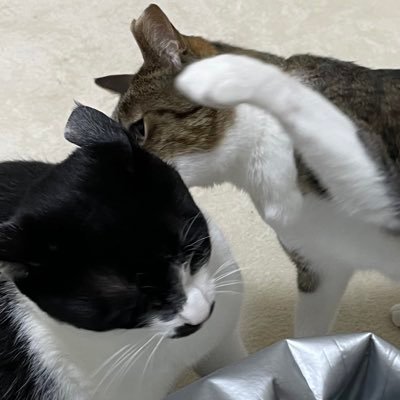 ゆうさんのプロフィール画像