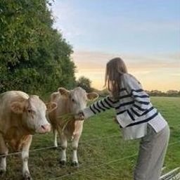 Pudu791358's profile picture. 