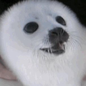 えばーふれっしゅ！さんのプロフィール画像