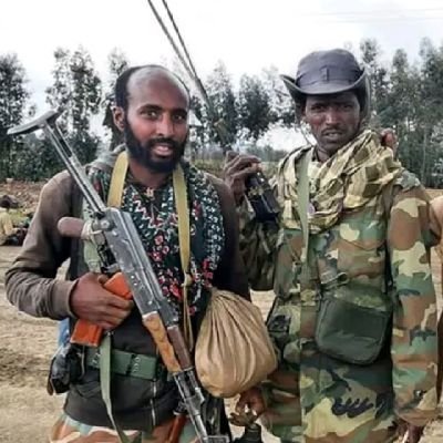 ZollaTdf's profile picture. 