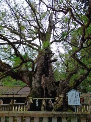 samu_kuri's profile picture. 国民民主党推してます。
人見知りなので基本見る専です。