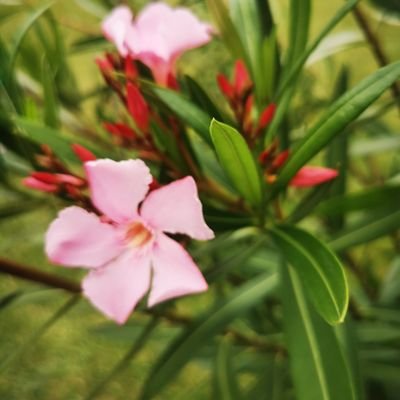 wiajus1977's profile picture. 🇵🇱❤️🇵🇱😎
Nie licz dni, spraw, by dni się liczyły”