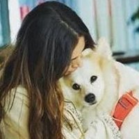 Leevo (@leevo43204) 's Twitter Profile