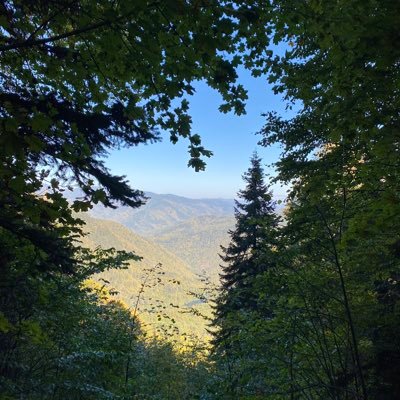 TechFinanceRx's profile picture. 