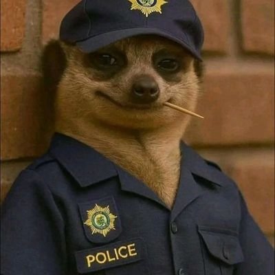 yibhokhwe's profile picture. Mkhwanazi's finest