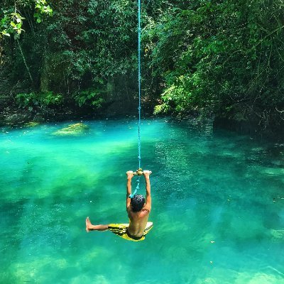 CarotaW99061's profile picture. 