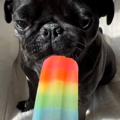 Belv30k's profile picture. 🙂‍↔️