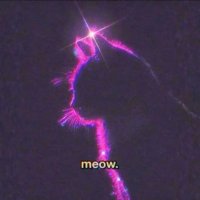 Meow. | Announcements 📣 (@meow_insolana) 's Twitter Profile