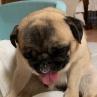 えま (@n7bg___sb) Twitter profile photo