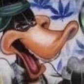 otpjay24's profile picture. 