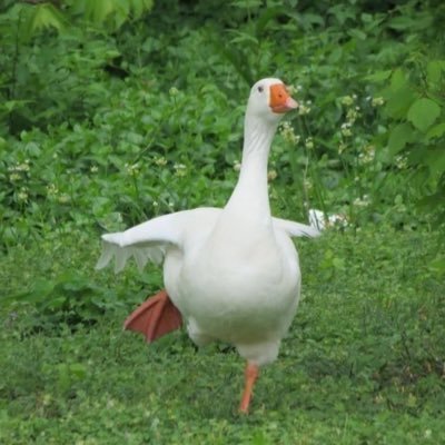 ollaollaollabwa's profile picture. 맞 춤 법 은 무 족 건 틀 려 #btc 사지마셔 내가 살 거임#. 빝트코이너만 팔로우바랍니다