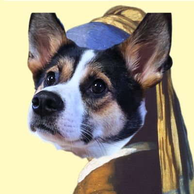 だいふく。🐶さんのプロフィール画像