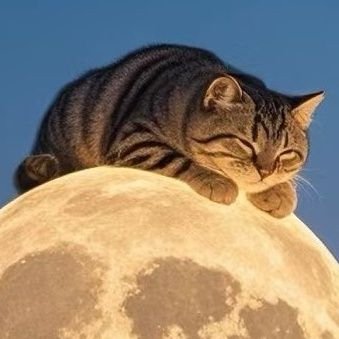 Plain_Vanilla20's profile picture. What do you do for a living? I do my best