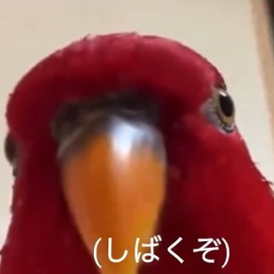 HXFnwR6B4307pZM's profile picture. 