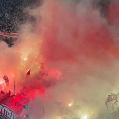 mrameler's profile picture. #VfB #Tech #AI