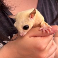 池袋M彼氏クラブ10月開業予定 (@mkareshiike) 's Twitter Profile Photo