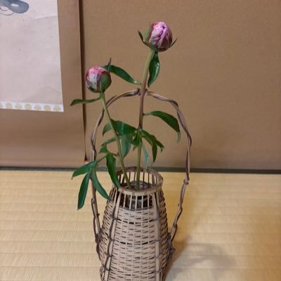 畠(はたけ)さんのプロフィール画像