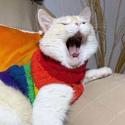 💜💚Gatito Koshka Morrison Dieselさんのプロフィール画像