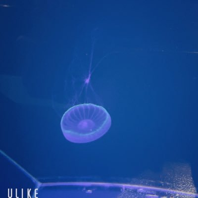 B05_02_'s profile picture. aiko / BP / ta ｜Lenny code fiction / Lenny's ｜ BLUEENCOUNT ｜ BURNOUTSYNDROMES｜BruteRocks｜ANTENA｜u named(radica) / us｜ ——————————————————————————🫧 だいたい上手にいます