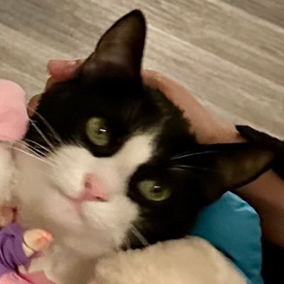 j8im3's profile picture. 0 D Æ A T