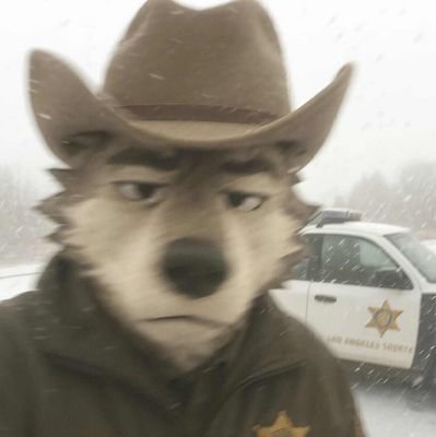 CaiusKung's profile picture. 