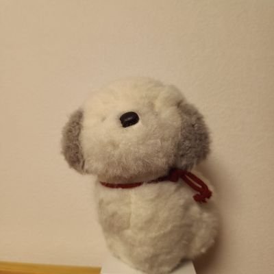 ZC6auh's profile picture. 車部
M　B2