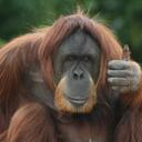 Anthony Moncada - @offdutyphsyco - Twitter