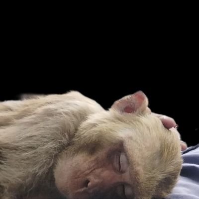 Sarr_darrd's profile picture. Headache | #sarrdarrd