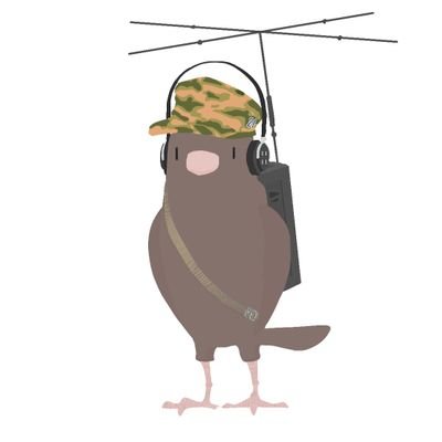 まいくら↓┊︎🇸🇩🇮🇶🇸🇾🇪🇬のMiG-21が🫶🫶@MiG21lover1991 Дворовые,военные,армейские песни クラギで練習中 😫療養中😫