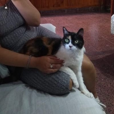 birritamarga's profile picture. ✌️
💃🏻
👩🏻💻
💜💚
🤍♥️🤍