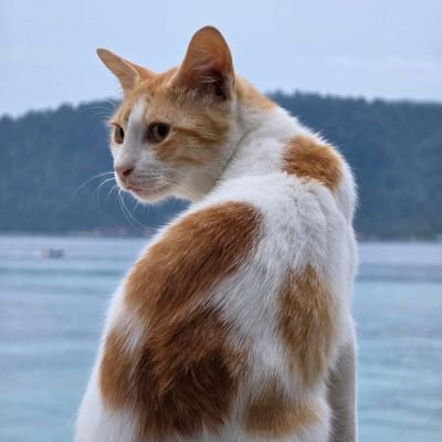 izwithnohumor's profile picture. Big Bi man.
I will act based on behaviour. i judge based on behaviour. I am judgy. but I will let people have opinions when they aren't too unhinged.