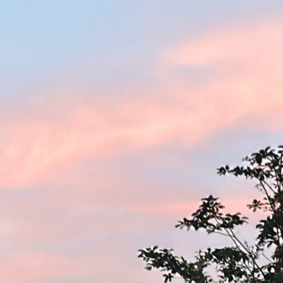 ekdltms000's profile picture. 