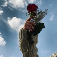 ڤيرآآ س 🌈 (@l32ff) Twitter profile photo
