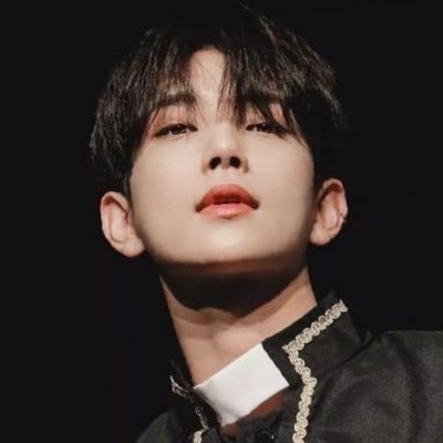 shua8te's profile picture. 23 yr old queer. #1 doll supporter 🏳️‍⚧️🫂