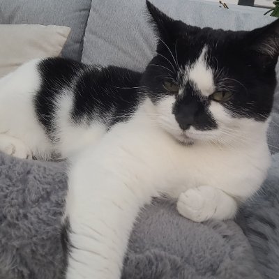 LeverJane's profile picture. A working class grandmother who dreams of a government led by Jeremy Corbyn. Racists of any kind will be blocked. Zionists will be reported to God. Free 🇵🇸