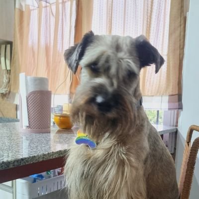 pgdsma's profile picture. 