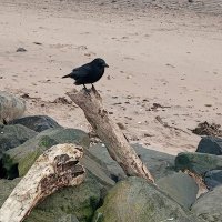 Rollyuk (@rollyuk1977) 's Twitter Profile