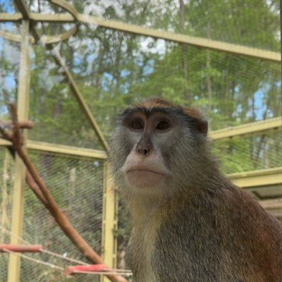 problemupdate's profile picture. full time researcher and professional problem solver