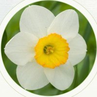 سلام (@cloudyday220) 's Twitter Profile