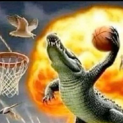 VERYNORMALMEIAM's profile picture. gay